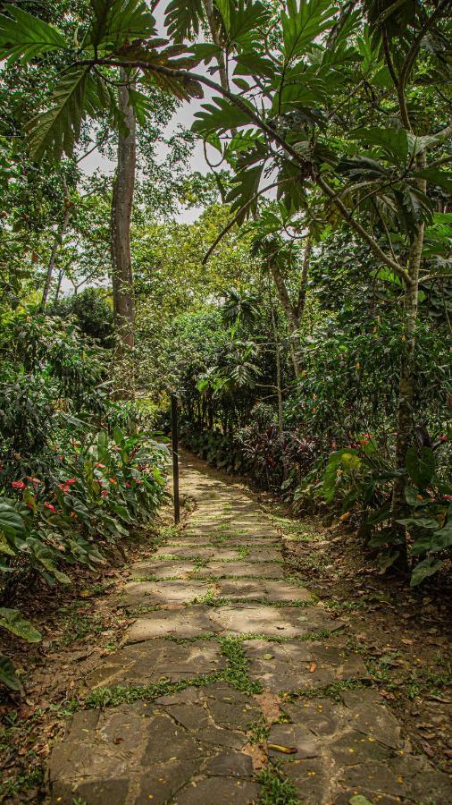 Kantu Garden Lodge Moyobamba Luaran gambar
